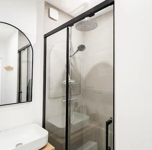 Appartement 4 Etoiles En Centre De - Le Basile Vichy