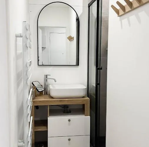 Appartement 4 Etoiles En Centre De - Le Basile Vichy